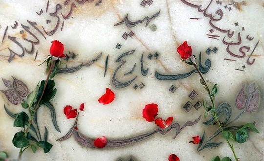 معرفی شهدای مدافعان جان