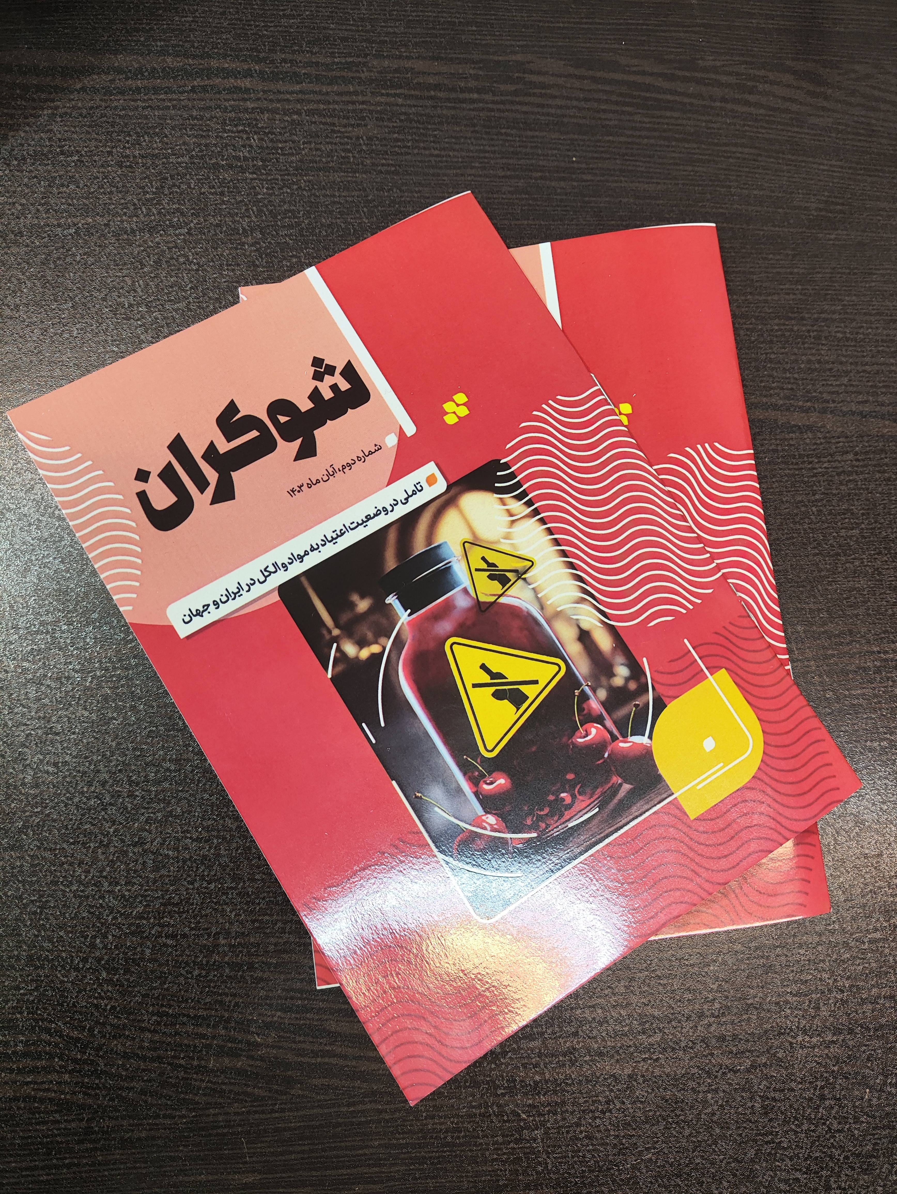 انتشار دومین شماره بولتن خبری «شوکران»