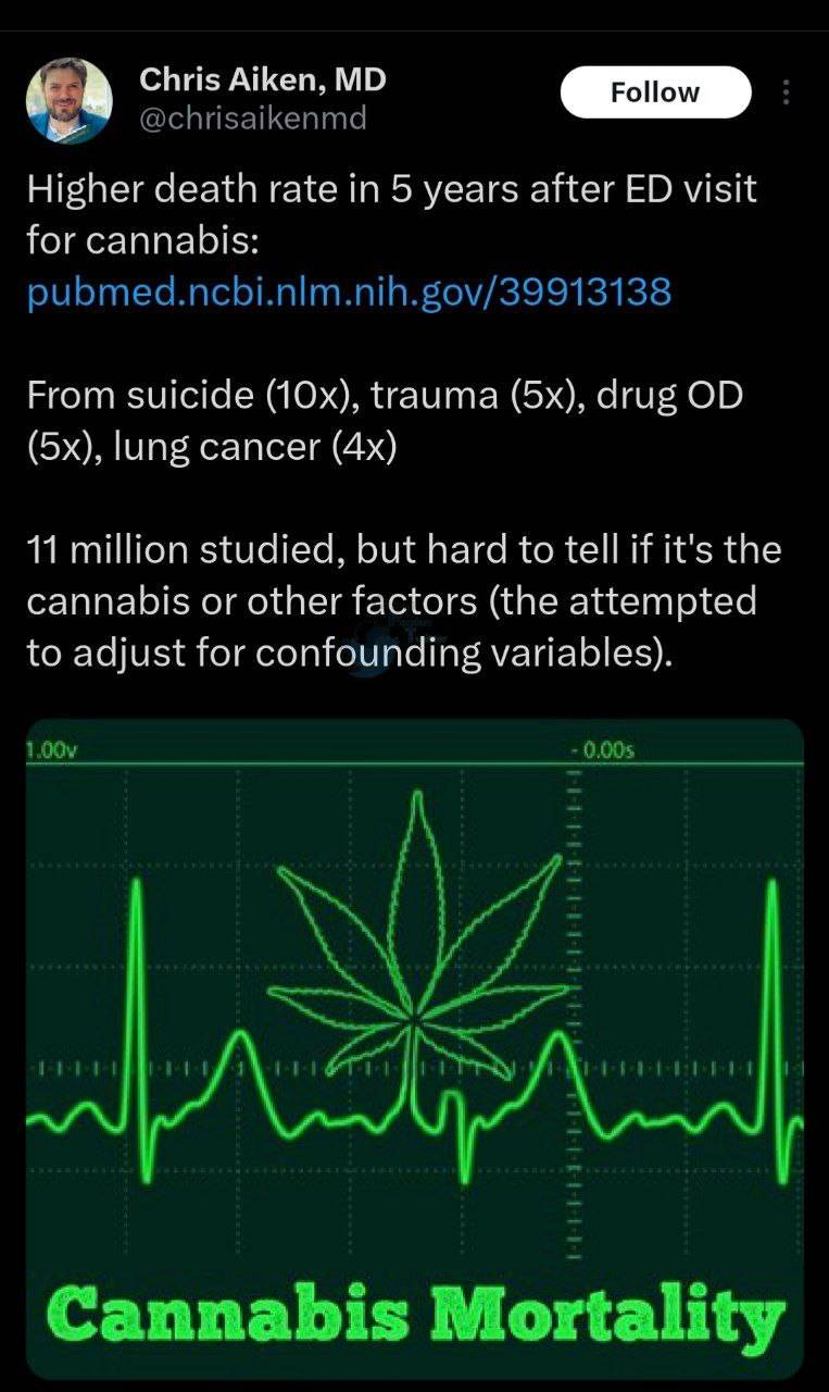رشد مصرف کانابیس در اروپا؛ آیا سیاست‌های آزادسازی، جان مردم را تهدید می‌کند؟