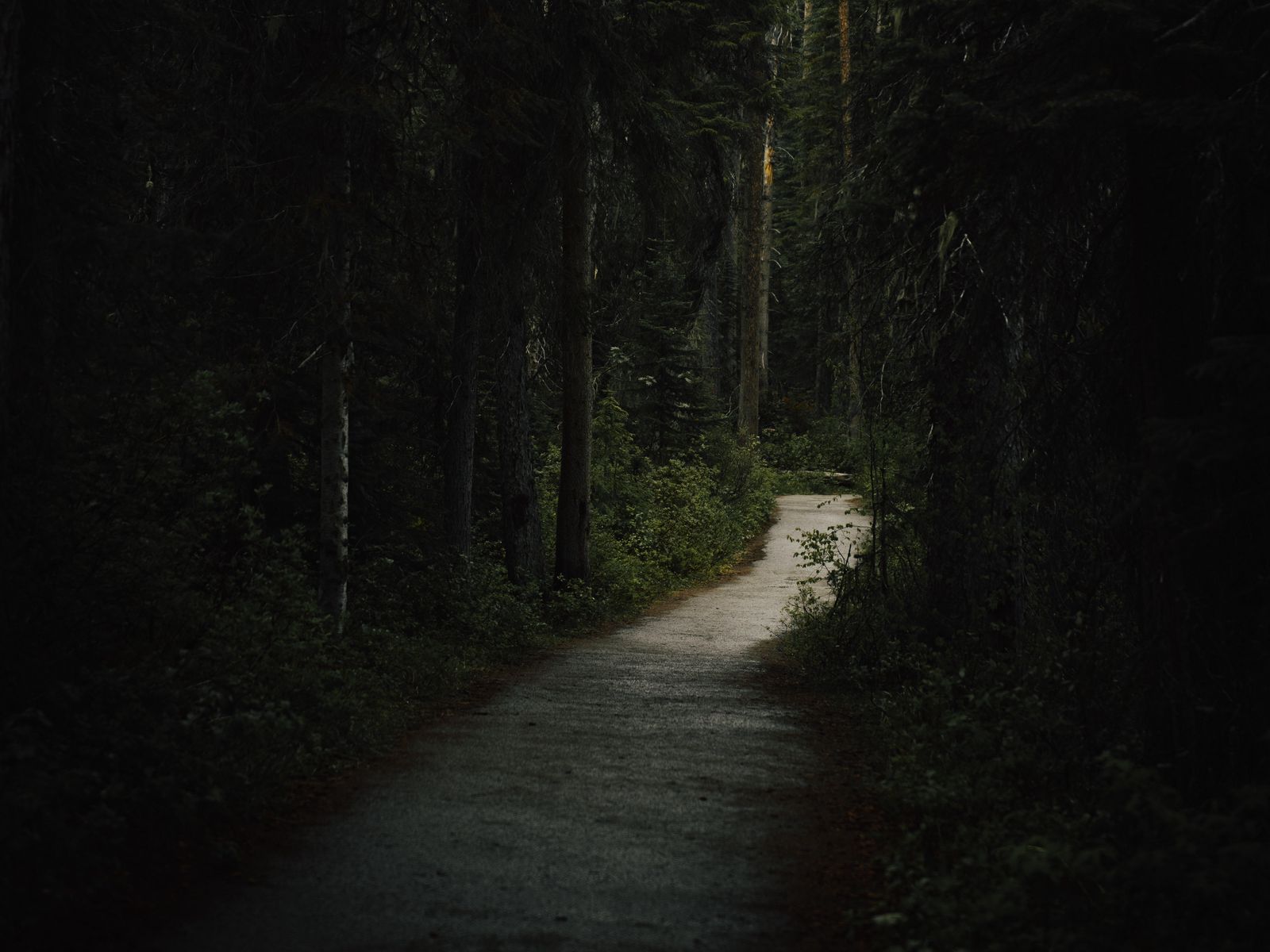 اعتیاد و پیچیدگی‌های زندگی؛ چرا هیچ راهی قطعی نیست؟